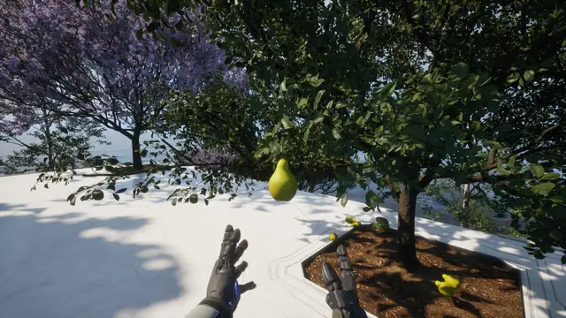 A hand reaching toward a pear among leafy branches in The Last Caretaker.